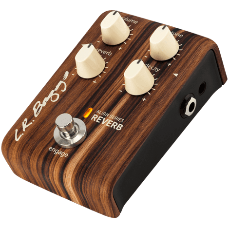 Pedal LR Baggs Align Reverb Para Instrumentos Acústicos